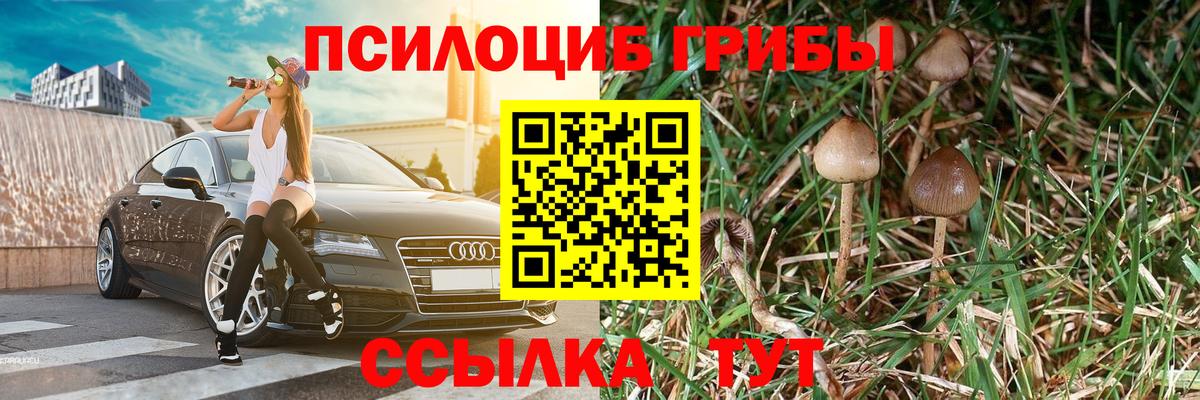 Каменск-Уральский  Псилоцибиновые грибы Psilocybine cubensis  цены   Вход с VPN  Псилоцибиновые грибы Magic Shrooms 